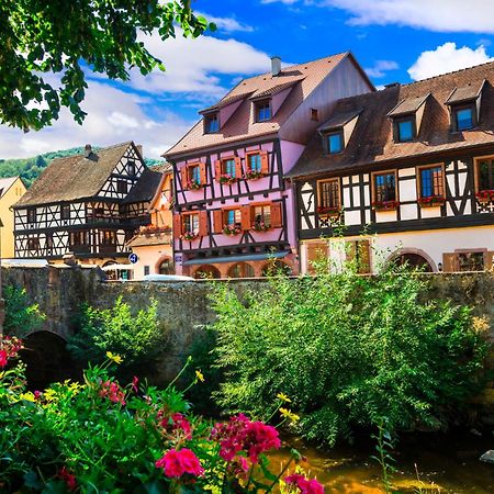 Gite Hirond'Elsass Beblenheim Ngoại thất bức ảnh